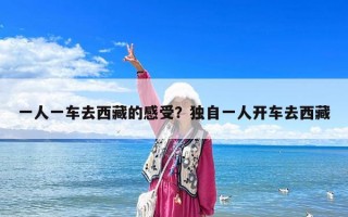 一人一车去西藏的感受？独自一人开车去西藏