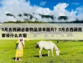 5月去西藏必备物品清单图片？5月去西藏需要带什么衣服