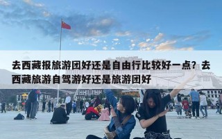 去西藏报旅游团好还是自由行比较好一点？去西藏旅游自驾游好还是旅游团好