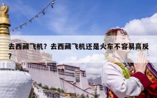 去西藏飞机？去西藏飞机还是火车不容易高反?