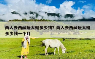 两人去西藏玩大概多少钱？两人去西藏玩大概多少钱一个月