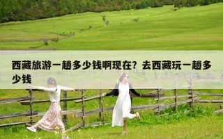 西藏旅游一趟多少钱啊现在？去西藏玩一趟多少钱