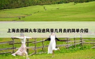 上海去西藏火车沿途风景几月去的简单介绍