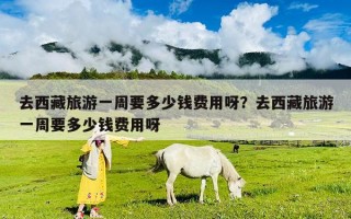 去西藏旅游一周要多少钱费用呀？去西藏旅游一周要多少钱费用呀