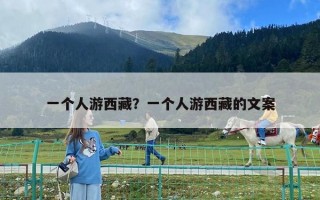 一个人游西藏？一个人游西藏的文案