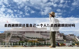 去西藏跟团还是自己一个人？去西藏跟团好吗