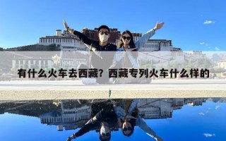 有什么火车去西藏？西藏专列火车什么样的