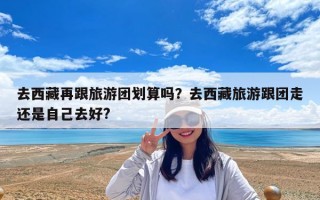 去西藏再跟旅游团划算吗？去西藏旅游跟团走还是自己去好?