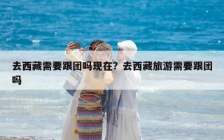 去西藏需要跟团吗现在？去西藏旅游需要跟团吗