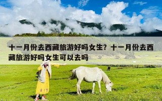 十一月份去西藏旅游好吗女生？十一月份去西藏旅游好吗女生可以去吗