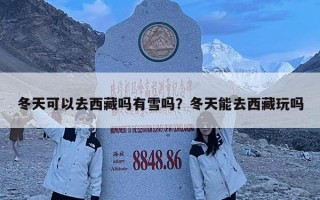 冬天可以去西藏吗有雪吗？冬天能去西藏玩吗
