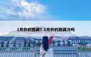 1月份的西藏？1月份的西藏冷吗