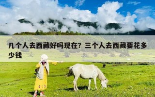 几个人去西藏好吗现在？三个人去西藏要花多少钱