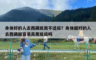 身体好的人去西藏反而不适应？身体越好的人去西藏越容易高原反应吗
