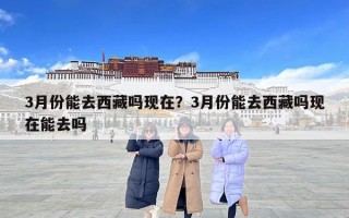3月份能去西藏吗现在？3月份能去西藏吗现在能去吗