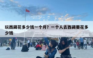 玩西藏花多少钱一个月？一个人去西藏要花多少钱