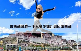 去西藏团游一个人多少钱？组团游西藏