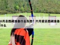 6月去西藏准备什么东西？六月底去西藏准备什么