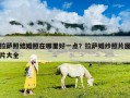 拉萨照结婚照在哪里好一点？拉萨婚纱照片图片大全