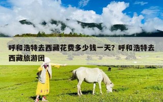 呼和浩特去西藏花费多少钱一天？呼和浩特去西藏旅游团