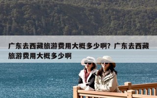 广东去西藏旅游费用大概多少啊？广东去西藏旅游费用大概多少啊