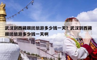 武汉到西藏跟团旅游多少钱一天？武汉到西藏跟团旅游多少钱一天啊