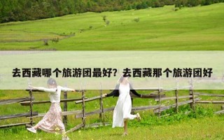 去西藏哪个旅游团最好？去西藏那个旅游团好