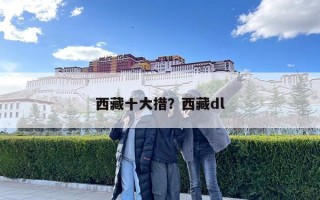 西藏十大措？西藏dl