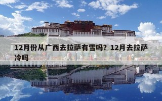 12月份从广西去拉萨有雪吗？12月去拉萨冷吗
