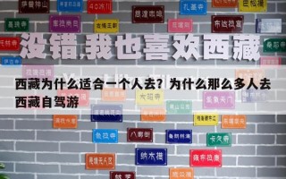 西藏为什么适合一个人去？为什么那么多人去西藏自驾游