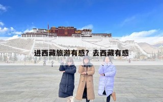 进西藏旅游有感？去西藏有感