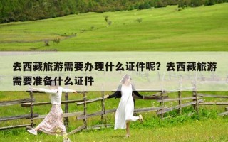 去西藏旅游需要办理什么证件呢？去西藏旅游需要准备什么证件