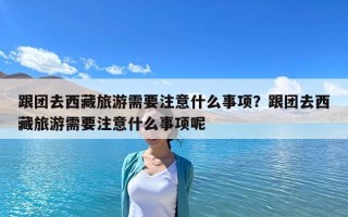 跟团去西藏旅游需要注意什么事项？跟团去西藏旅游需要注意什么事项呢
