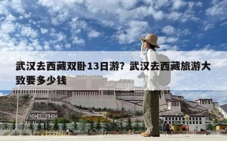 武汉去西藏双卧13日游？武汉去西藏旅游大致要多少钱