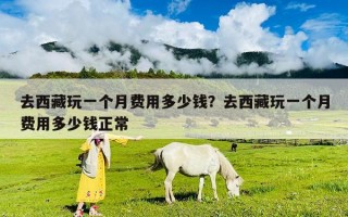 去西藏玩一个月费用多少钱？去西藏玩一个月费用多少钱正常