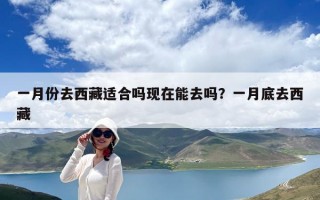 一月份去西藏适合吗现在能去吗？一月底去西藏