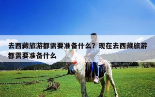 去西藏旅游都需要准备什么？现在去西藏旅游都需要准备什么