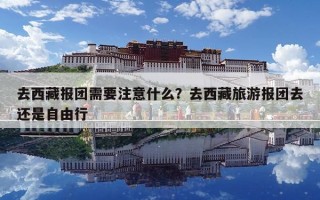 去西藏报团需要注意什么？去西藏旅游报团去还是自由行