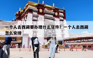 一个人去西藏要办理什么证件？一个人去西藏怎么安排