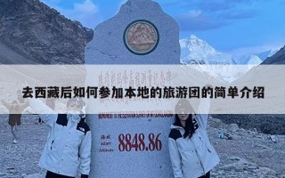 去西藏后如何参加本地的旅游团的简单介绍