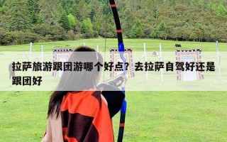 拉萨旅游跟团游哪个好点？去拉萨自驾好还是跟团好