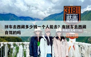 拼车去西藏多少钱一个人能去？有拼车去西藏自驾的吗
