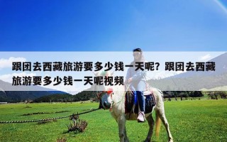 跟团去西藏旅游要多少钱一天呢？跟团去西藏旅游要多少钱一天呢视频