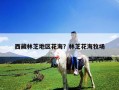 西藏林芝地区花海？林芝花海牧场