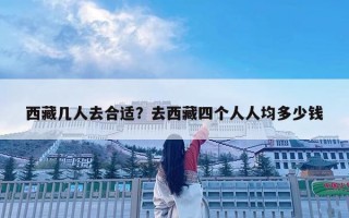 西藏几人去合适？去西藏四个人人均多少钱