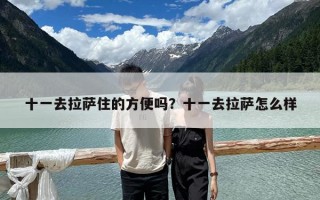 十一去拉萨住的方便吗？十一去拉萨怎么样