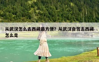 从武汉怎么去西藏最方便？从武汉自驾去西藏怎么走