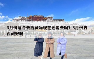 3月份适合去西藏吗现在还能去吗？3月份去西藏好吗
