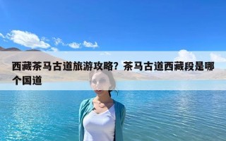 西藏茶马古道旅游攻略？茶马古道西藏段是哪个国道