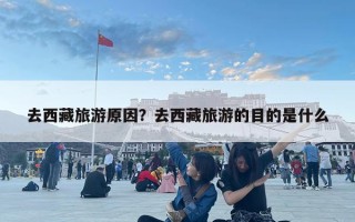 去西藏旅游原因？去西藏旅游的目的是什么